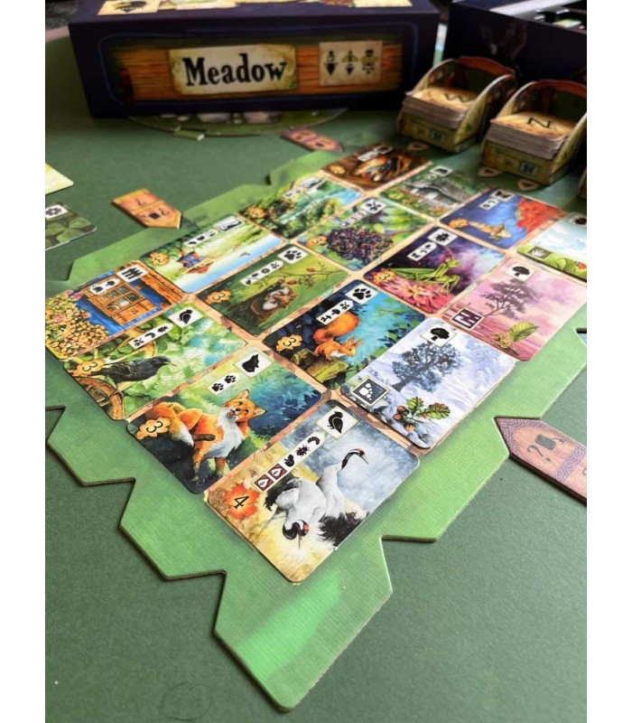 بازی فکری مدل چمنزار (Meadow)