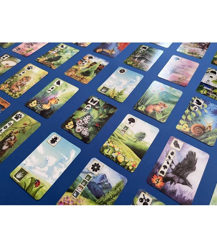 بازی فکری مدل چمنزار (Meadow)
