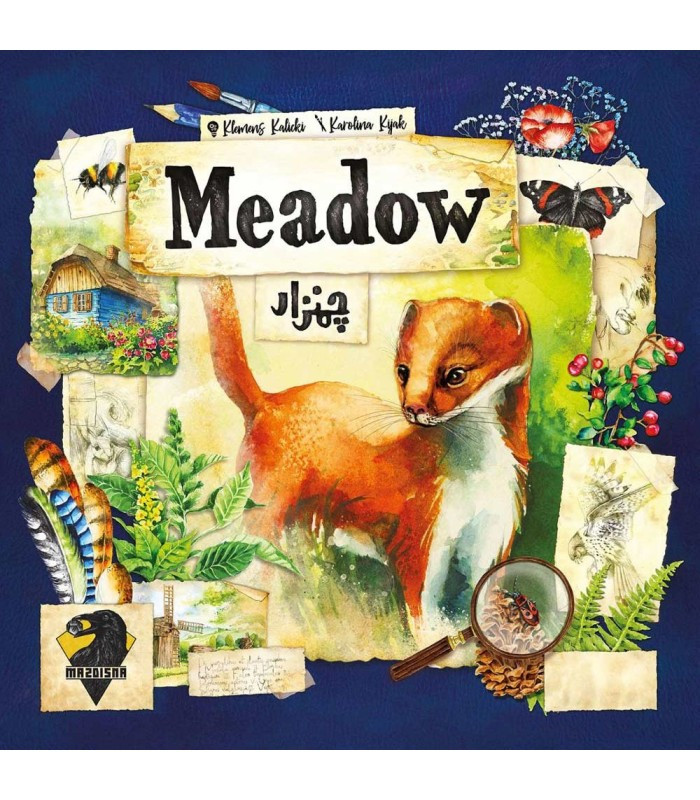 بازی فکری مدل چمنزار (Meadow)